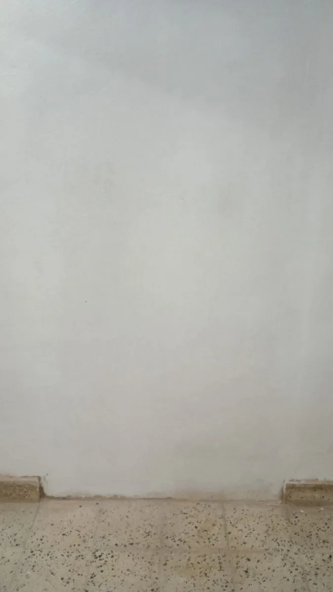 Claudio Contreras 4