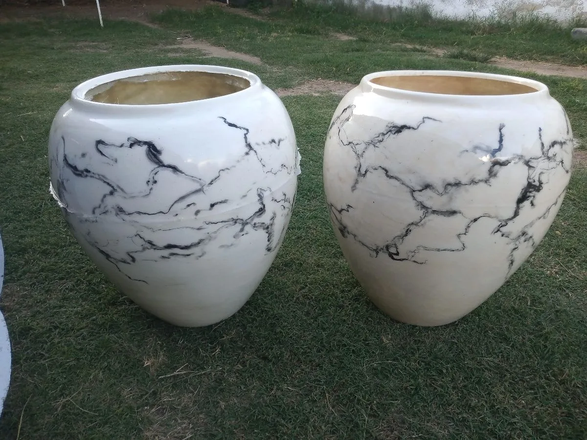 Claudio Contreras 11