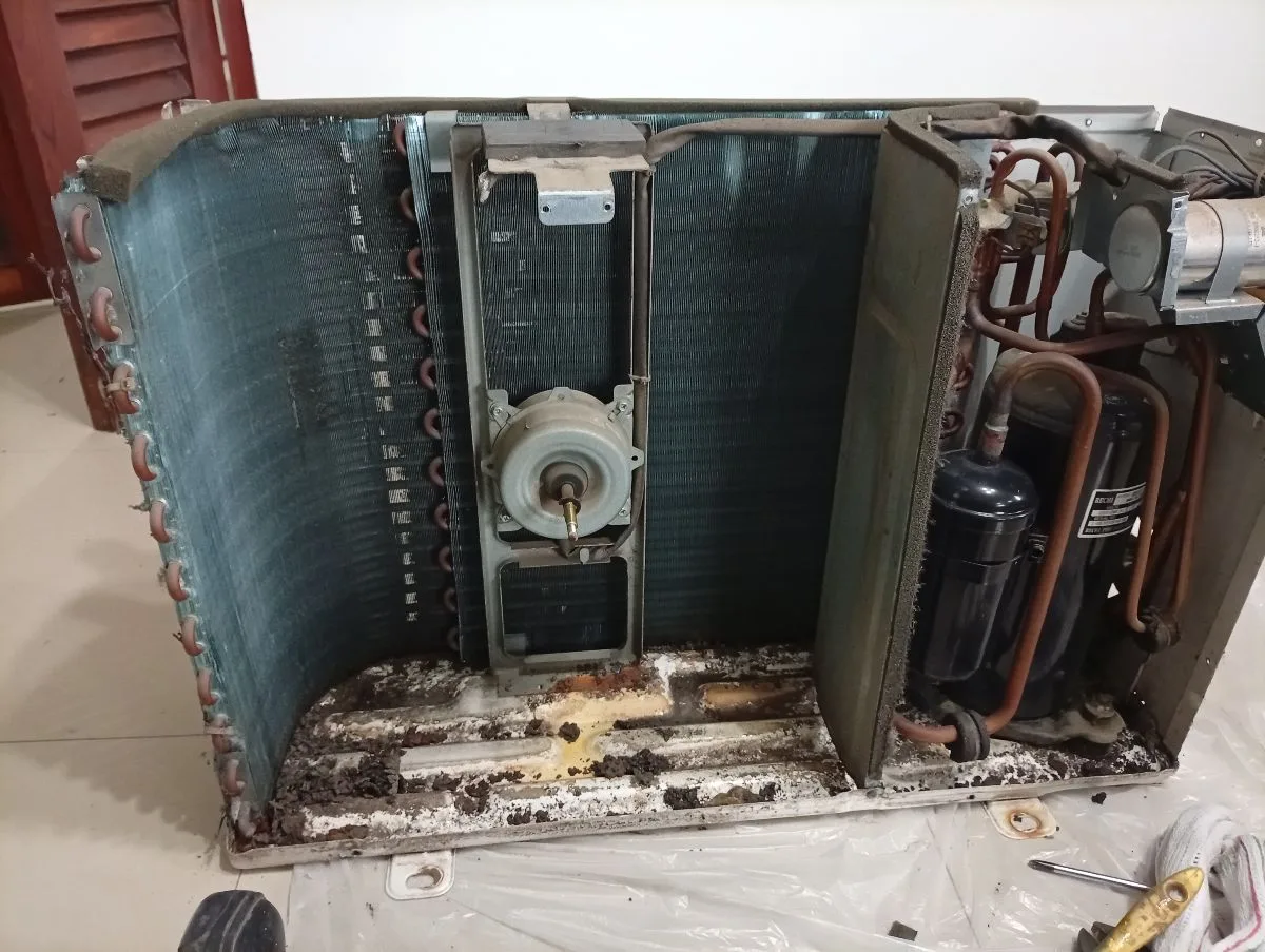 Bauserefrigeración 10