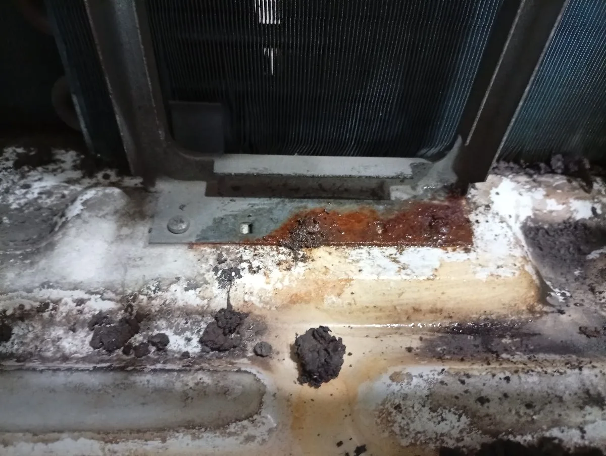 Bauserefrigeración 11