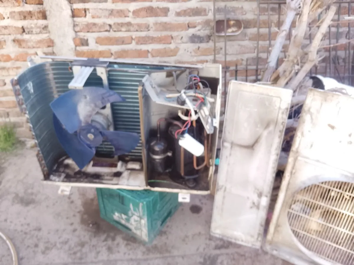 Héctor Guillermo bravo 4