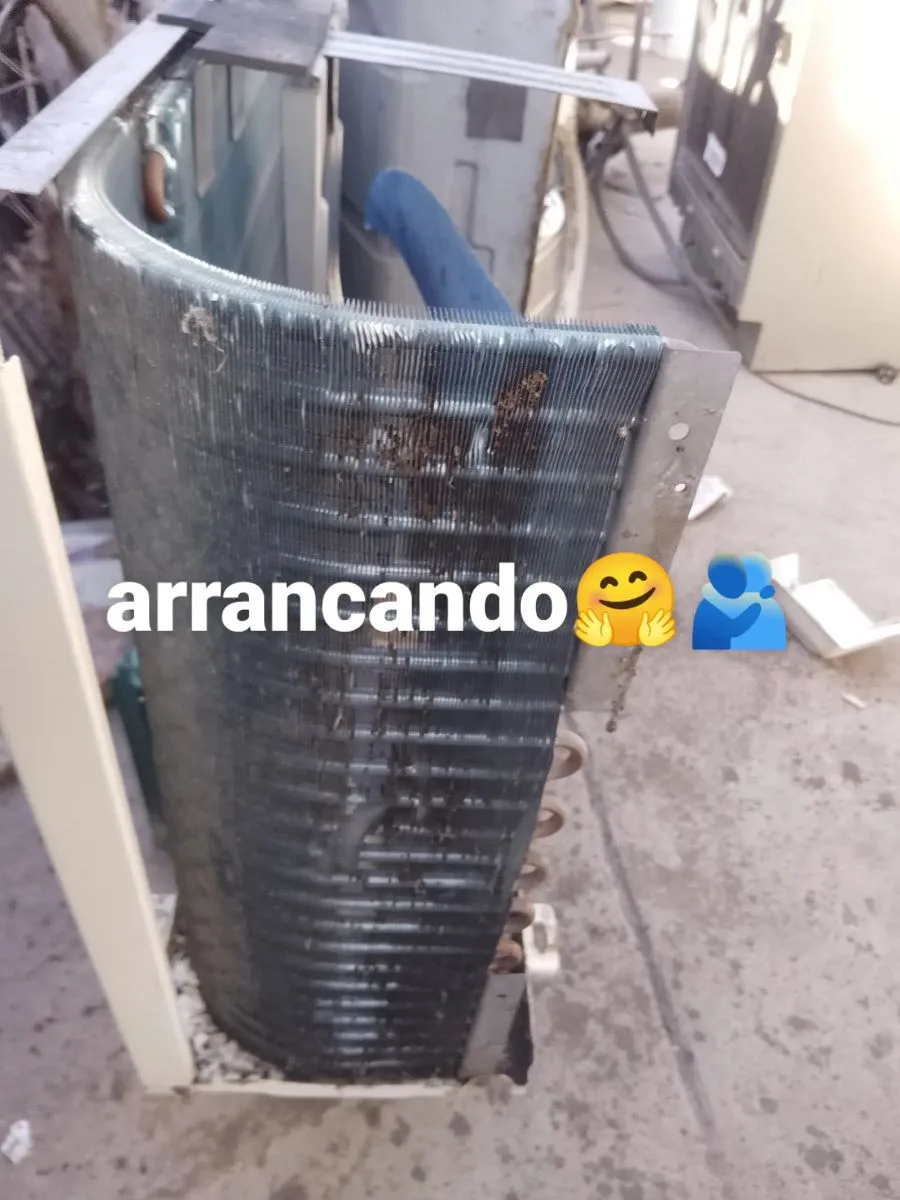 Héctor Guillermo bravo 5