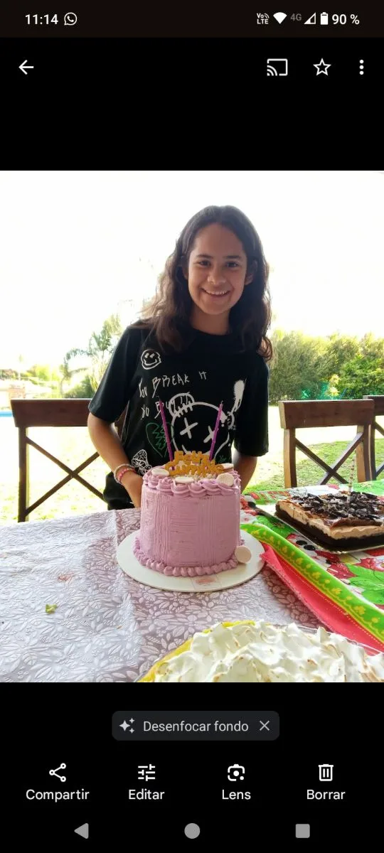 Galle cakes 4