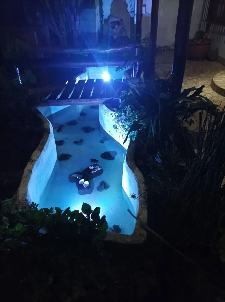 Piscinas bahía 9