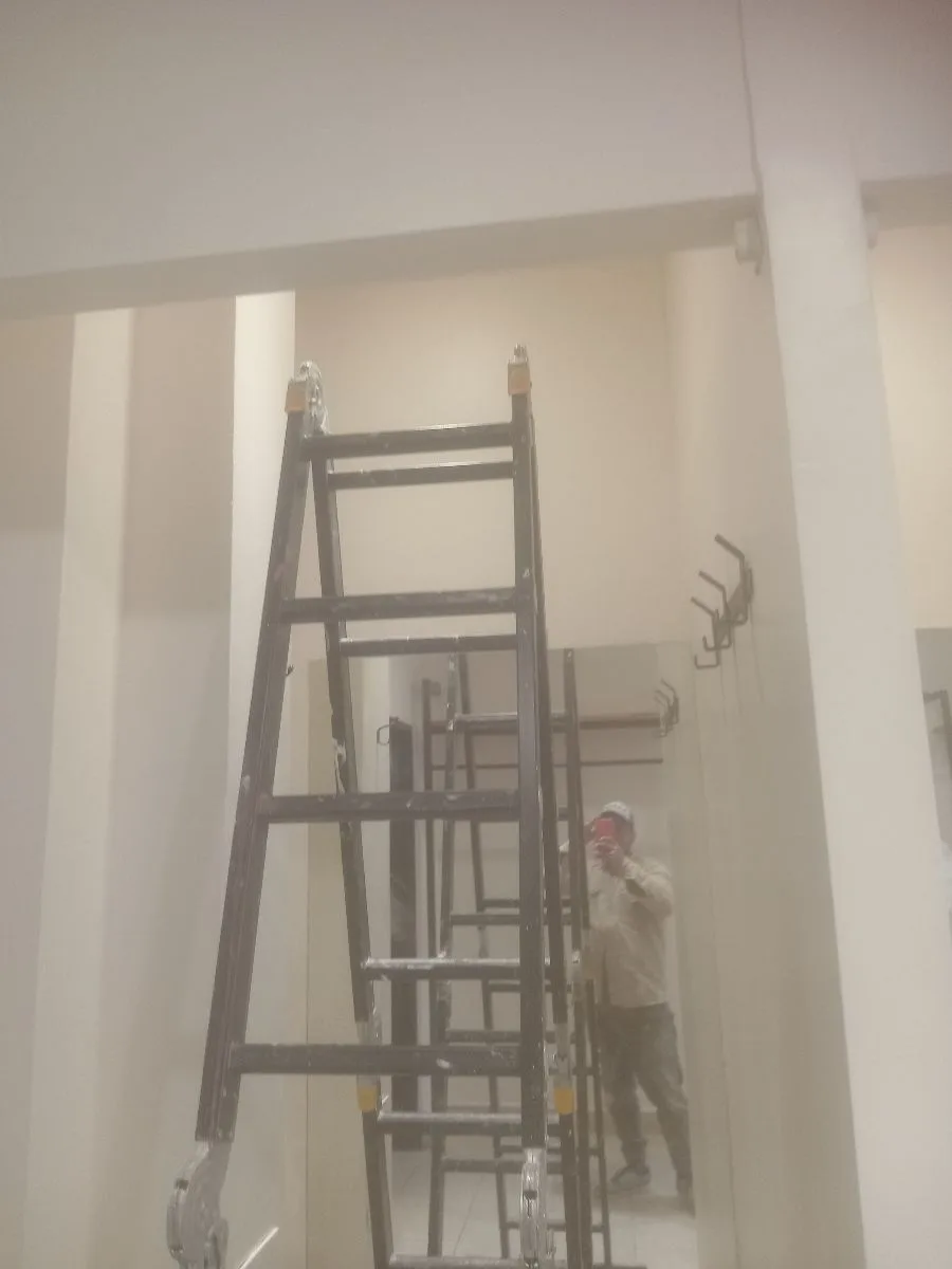 pintor maximiliano 12