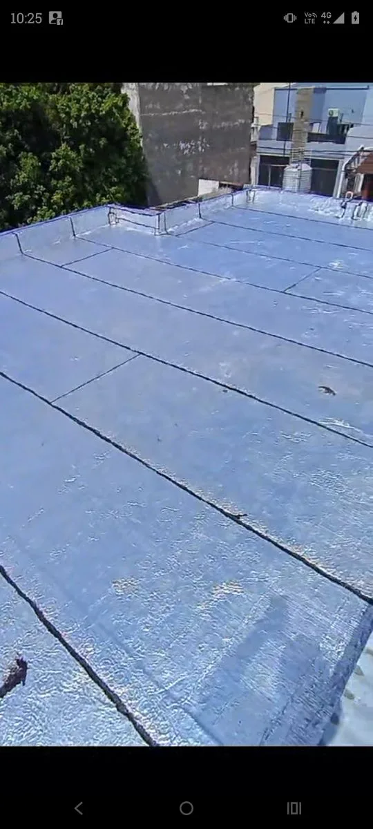 Nicolas Rodriguez 12