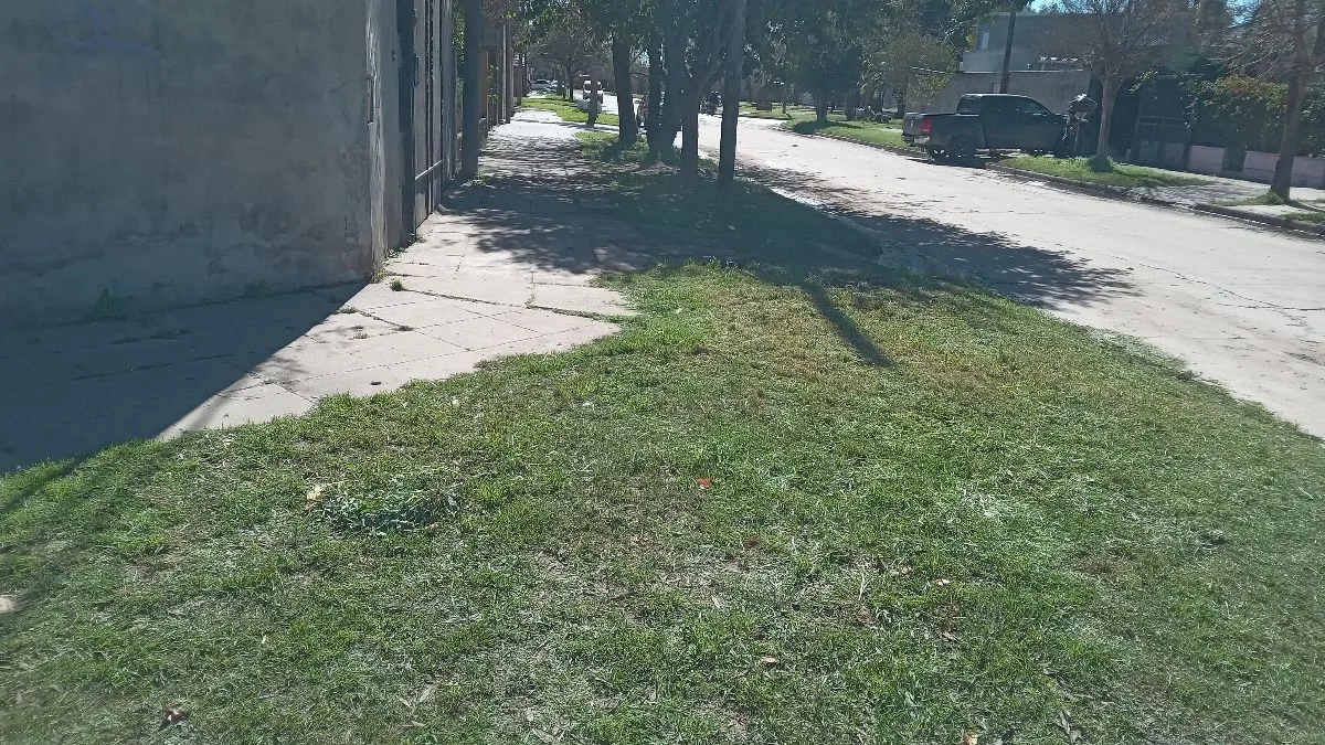 Liempieza de terreno y desmalezado 4