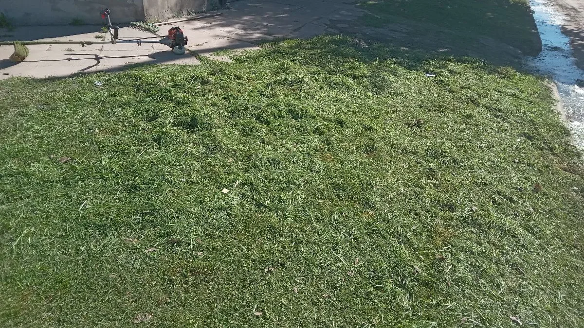 Liempieza de terreno y desmalezado 5