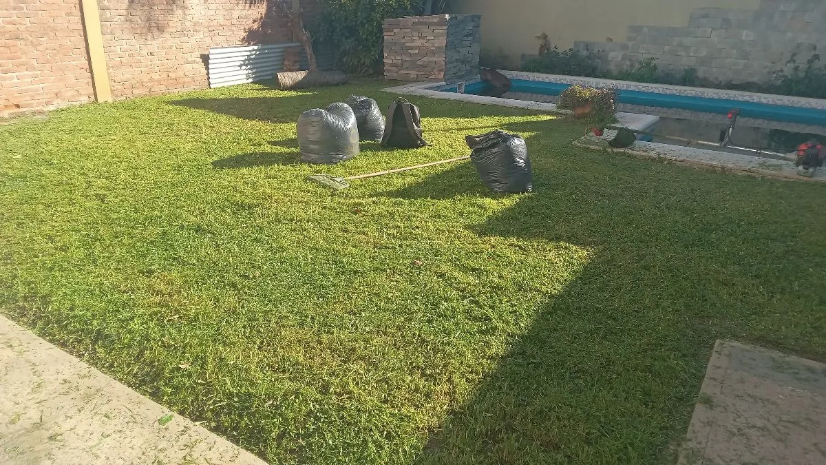 Liempieza de terreno y desmalezado 6