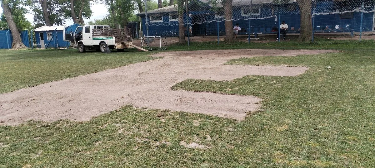 Maicol G 8