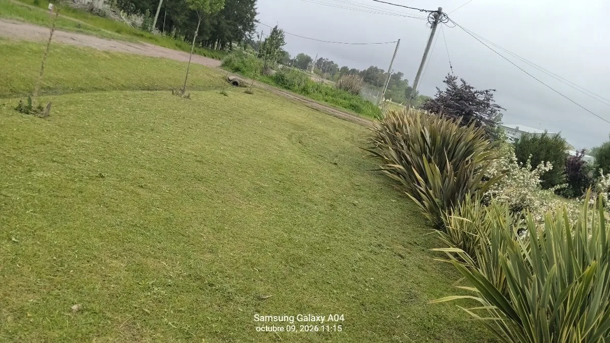El correntino, jardineria en general 6