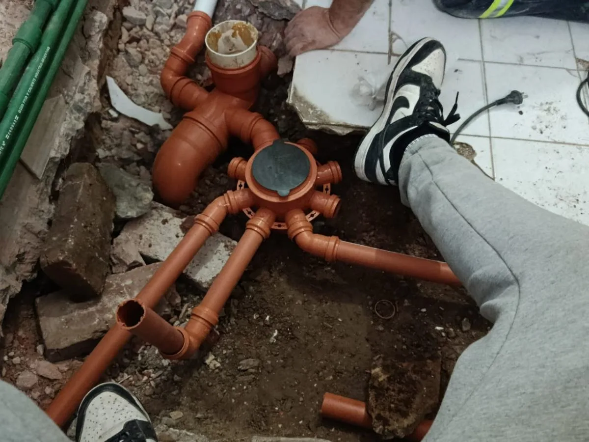Mantenimiento del hogar, Darío 6