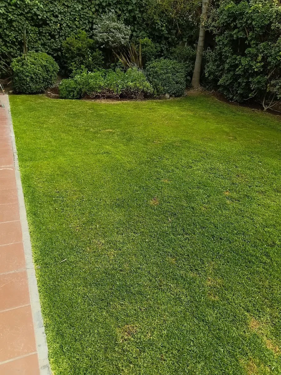 Nc jardineria 5