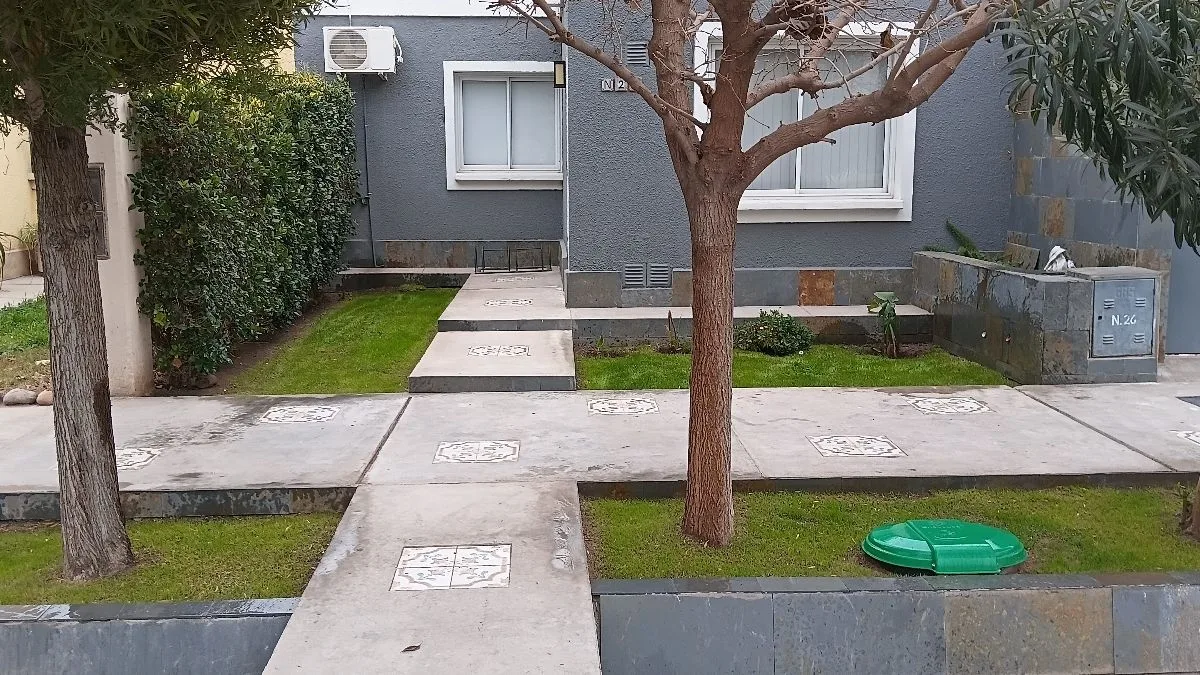 Nc jardineria 7