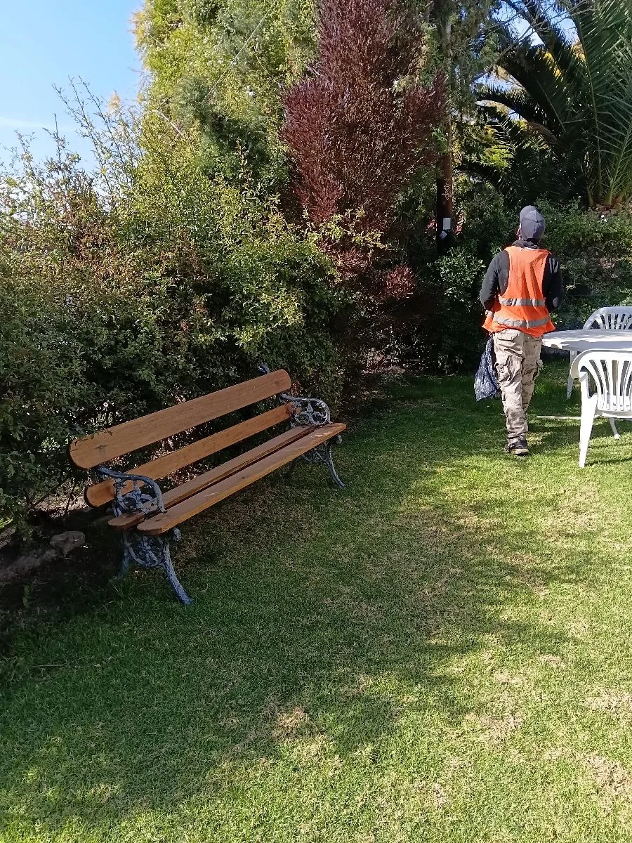 Nc jardineria 8