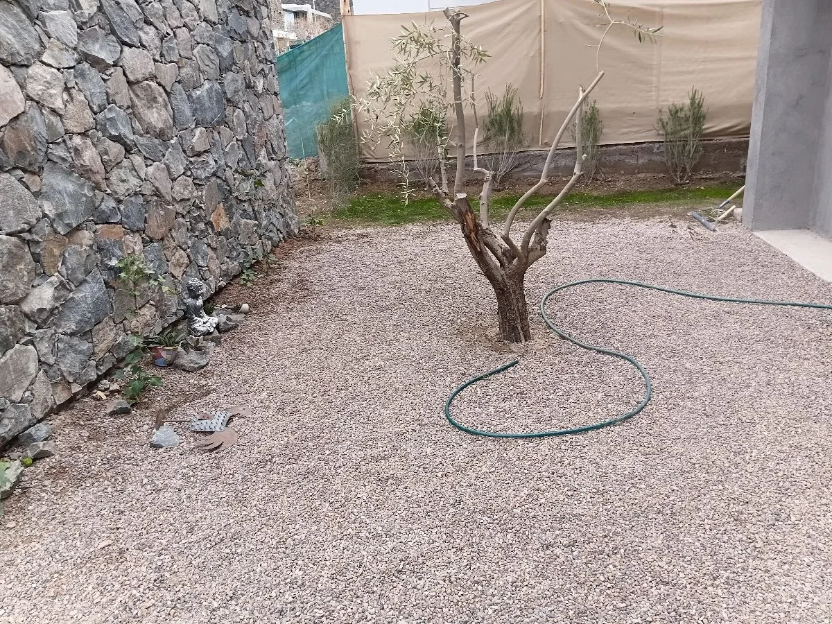 Nc jardineria 9