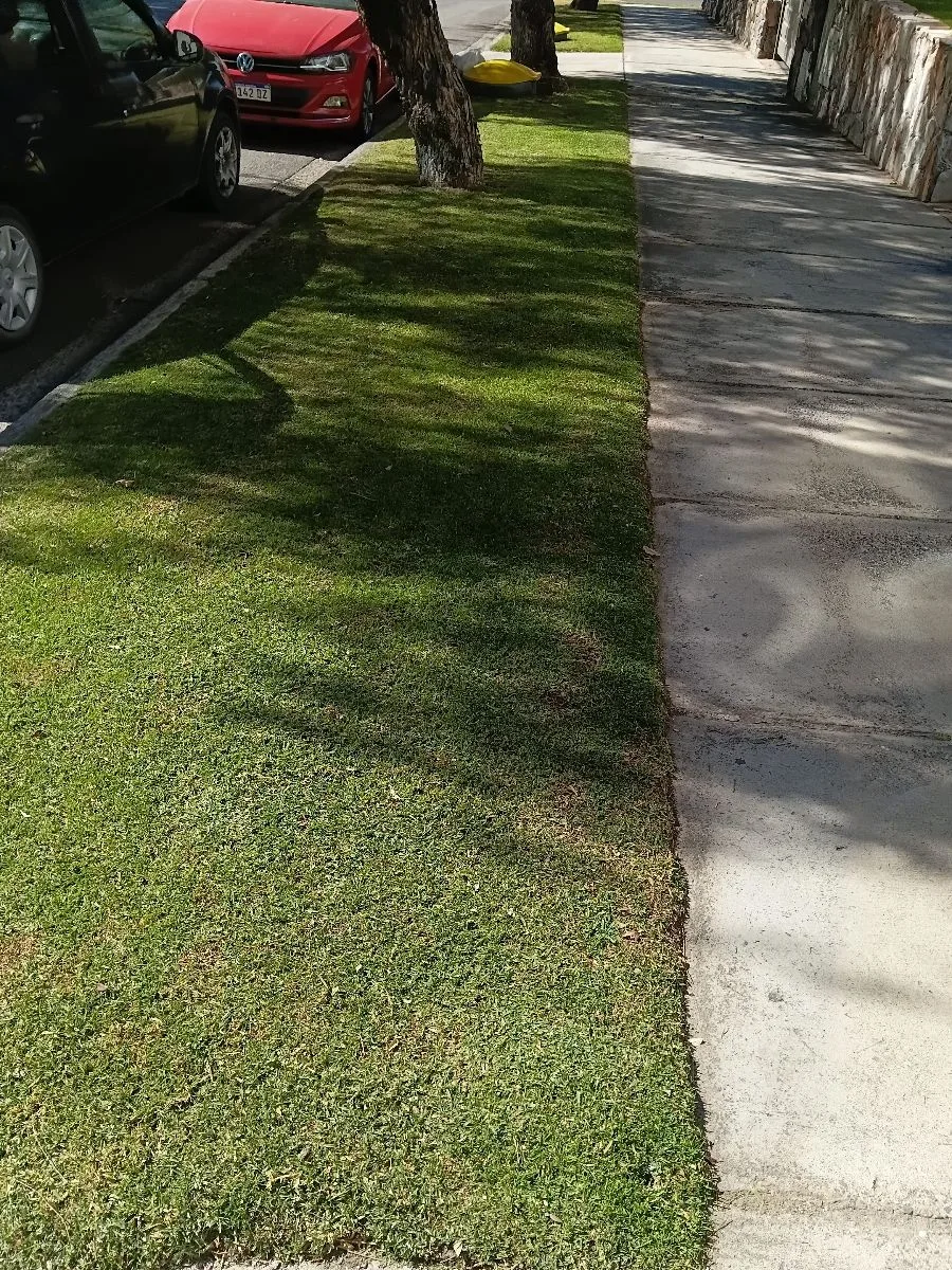 Nc jardineria 10