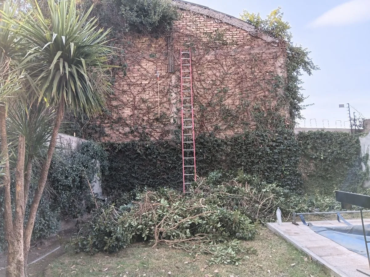 Nc jardineria 12