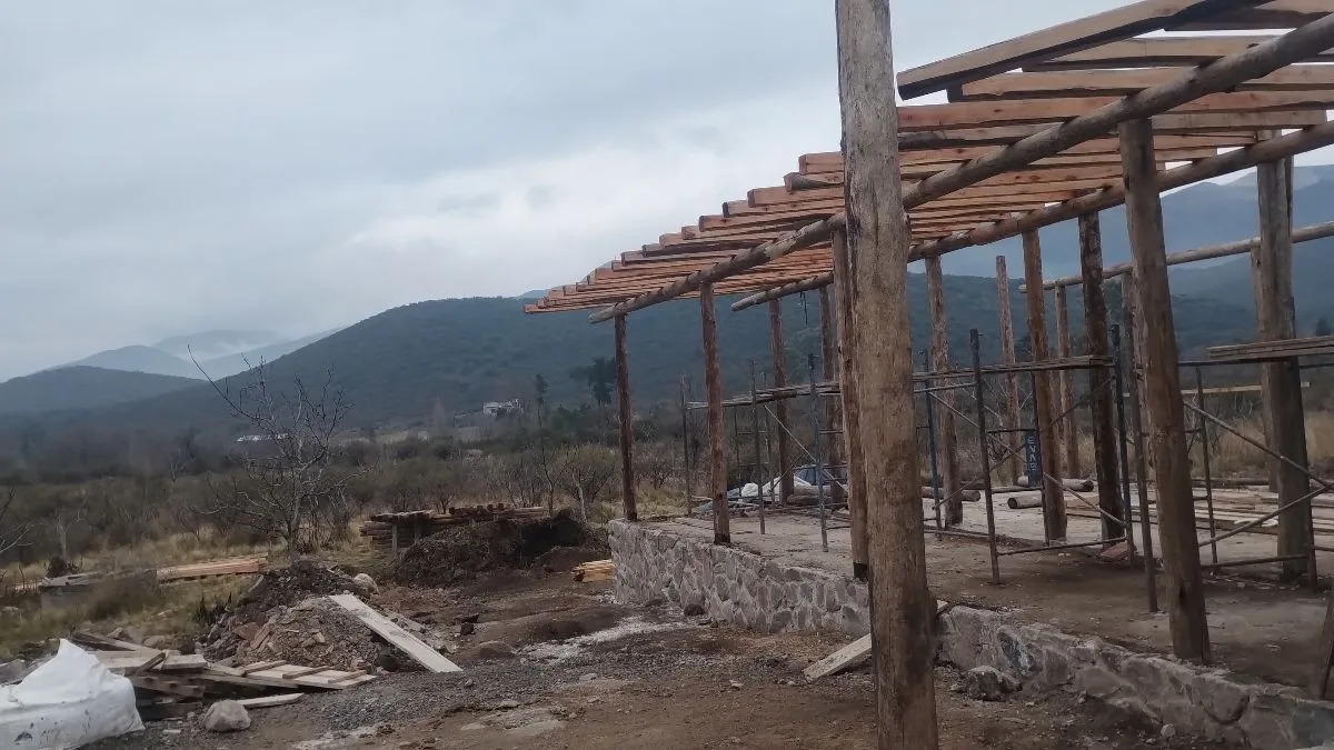Juan Carlos 5