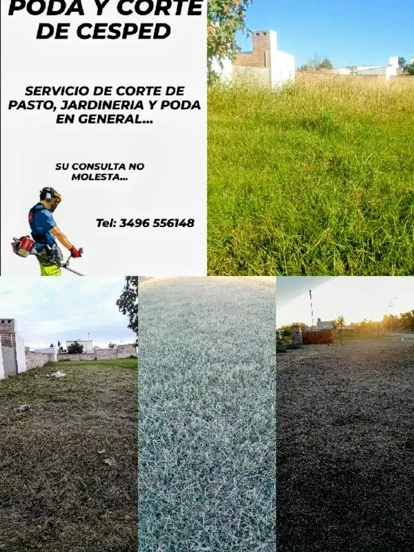 Jardineria