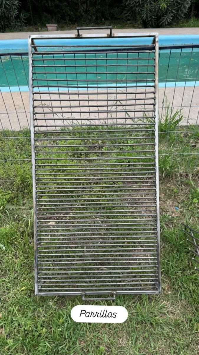Eucalipto 4