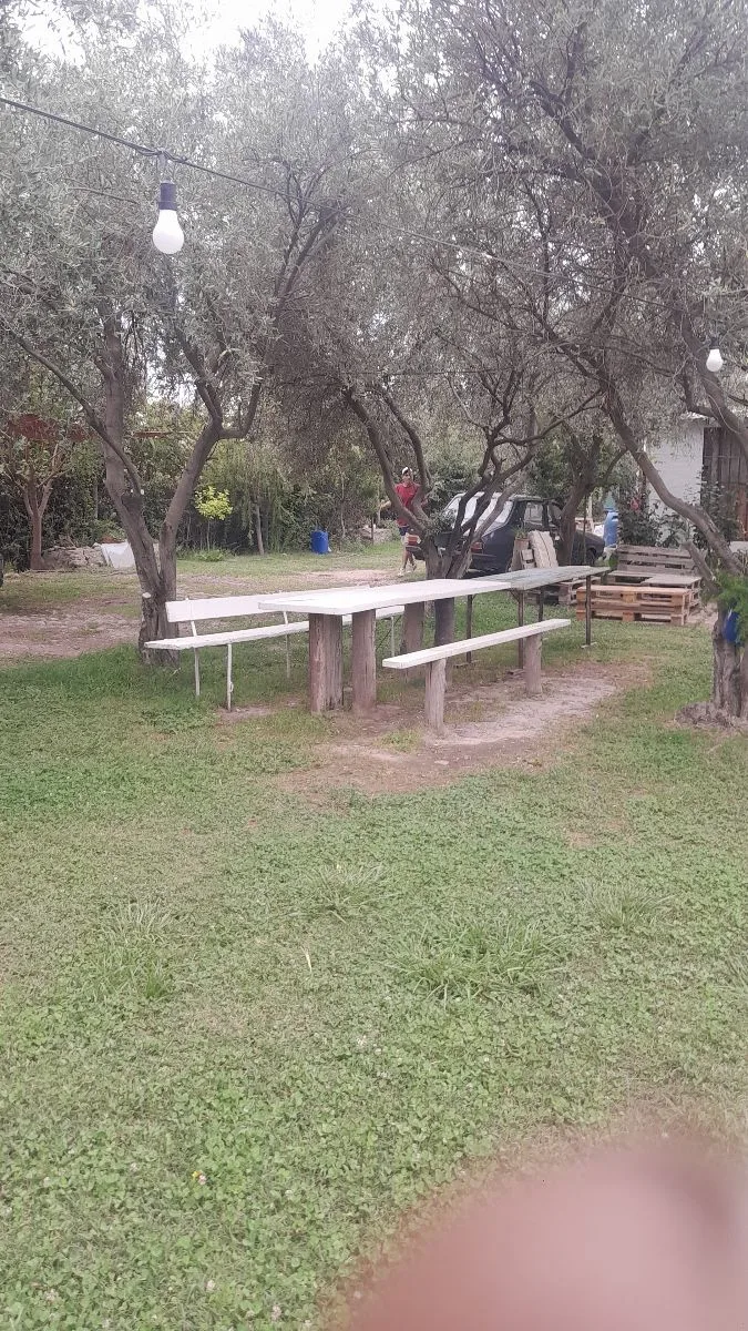 raulito 6
