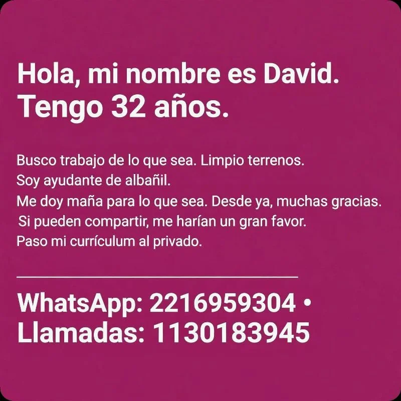 szakacs david