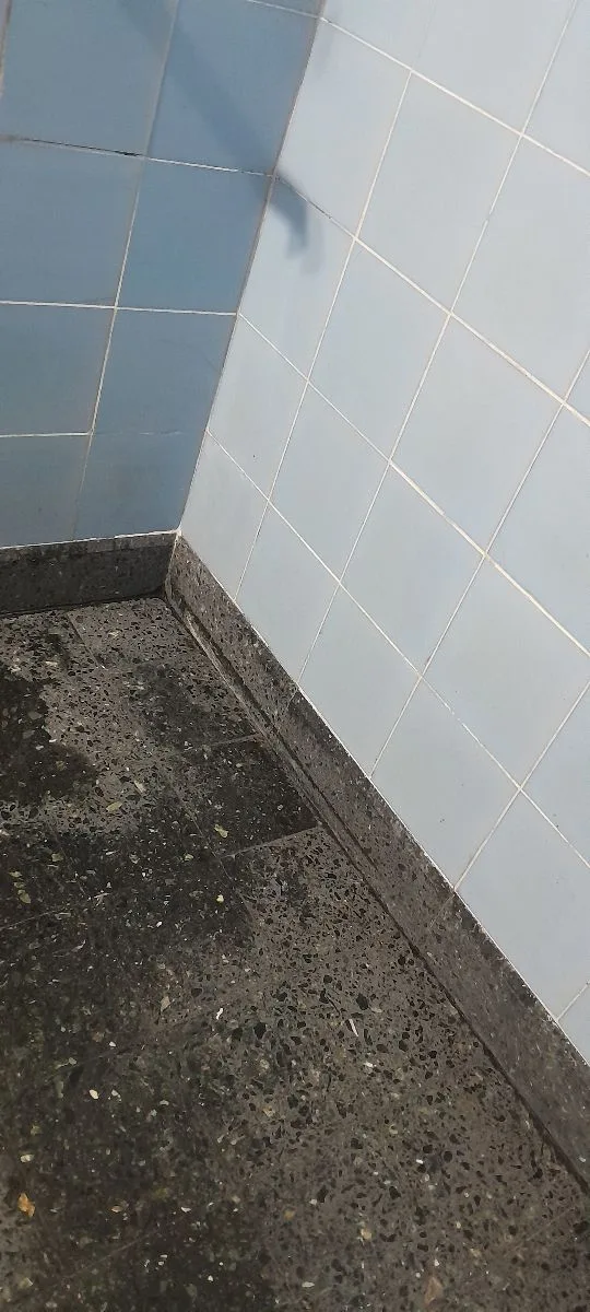 Limpieza integral profesional.  Biomecanica, a vapor,esterilización de espacios,limpieza de tapizados, detallado, 4