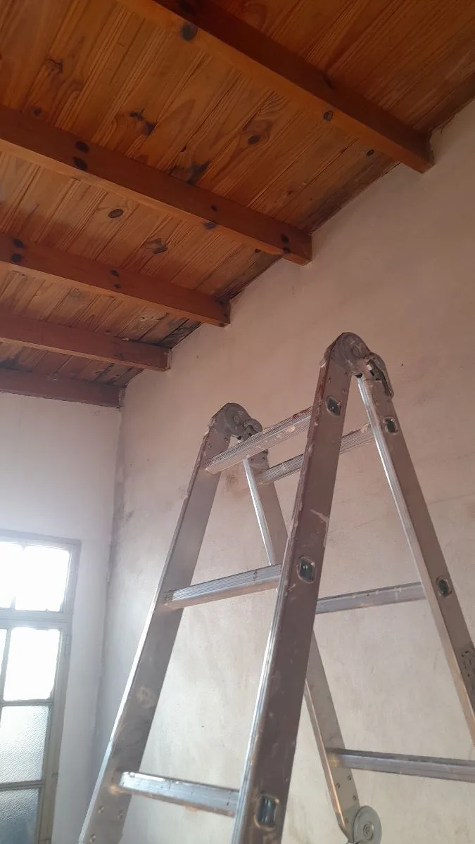 pintor alejandro 4