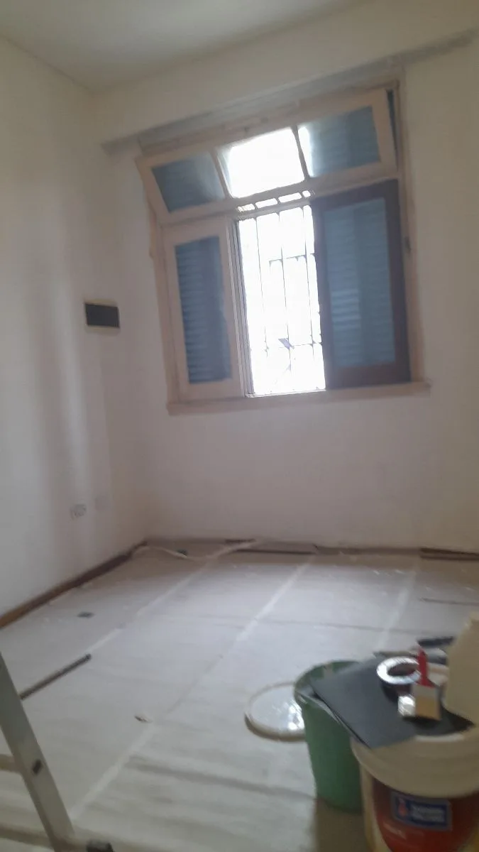 pintor alejandro 5