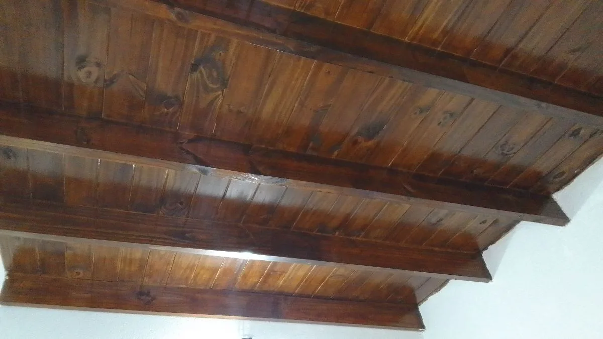 Albañil. Techista . Pintor. 4