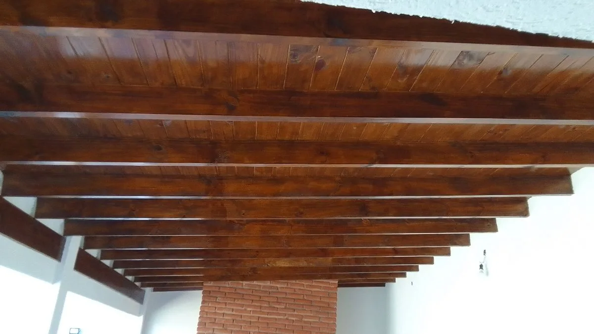 Albañil. Techista . Pintor. 10