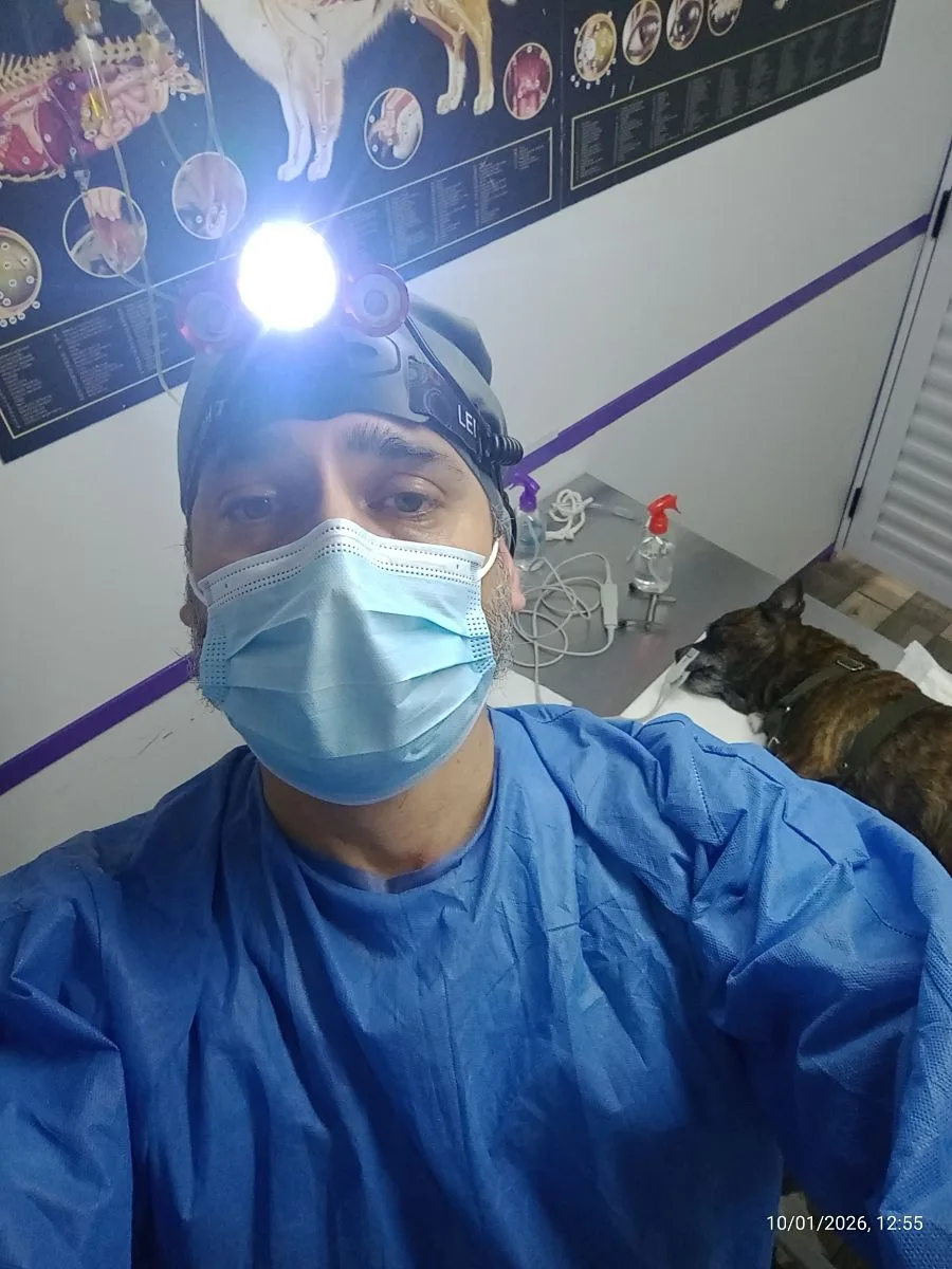 Dr Trozzo Vet 4