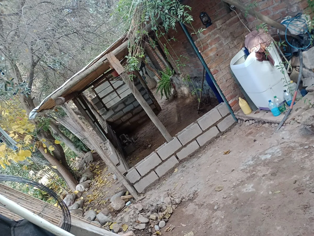 Jeremías distel 5