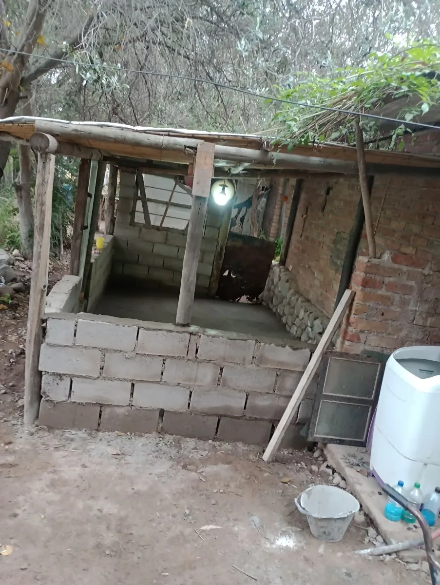 Jeremías distel 7