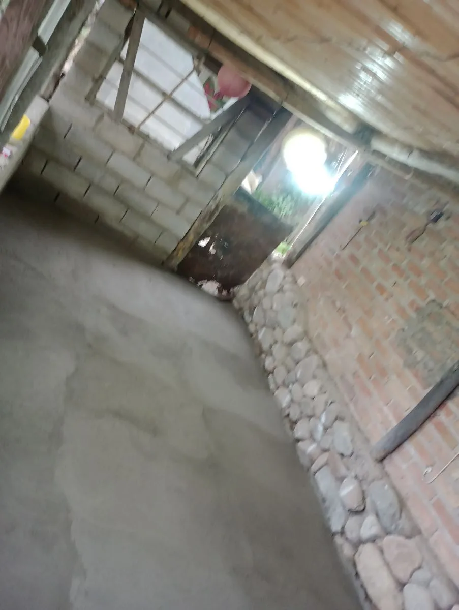 Jeremías distel 8