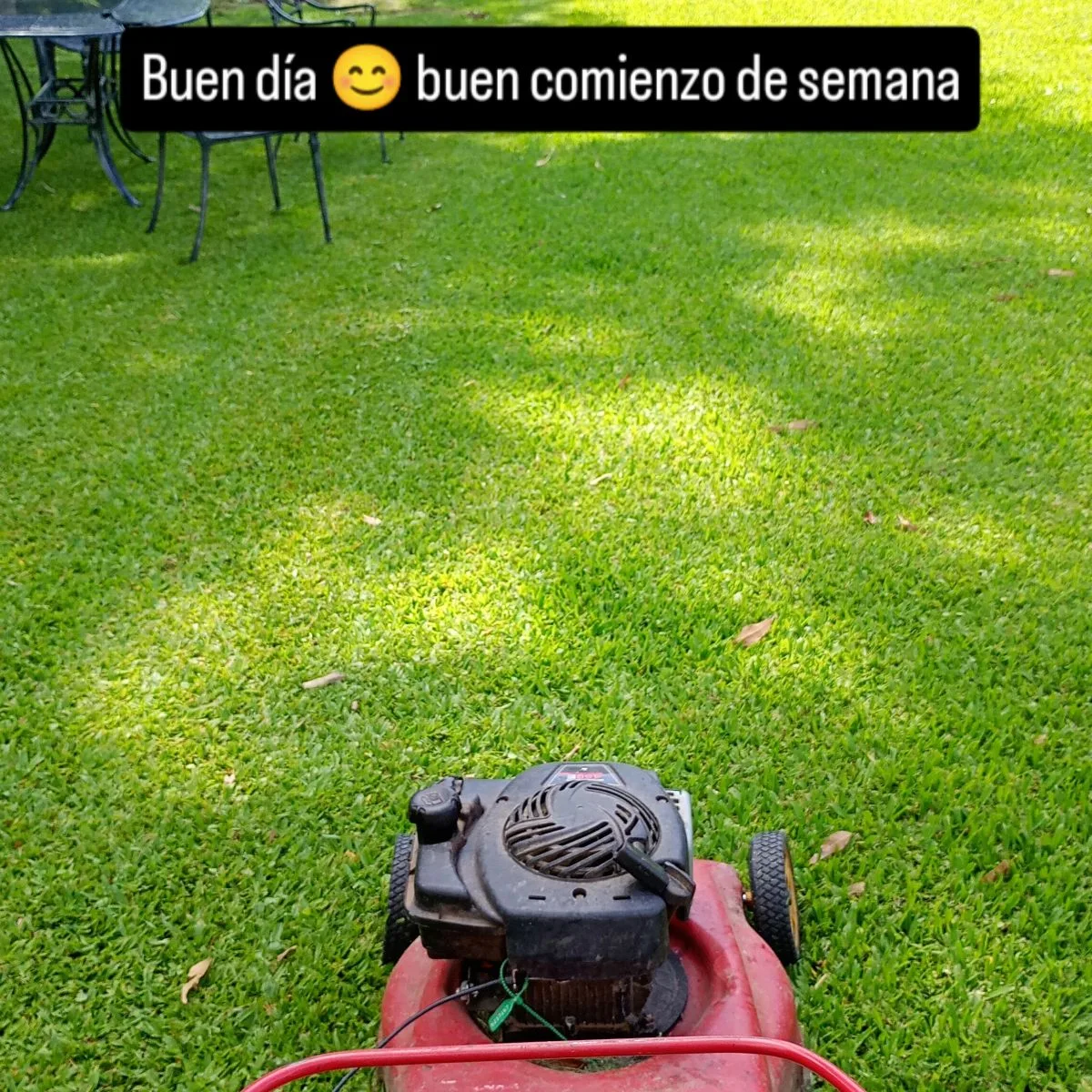 Alexis leiva 9
