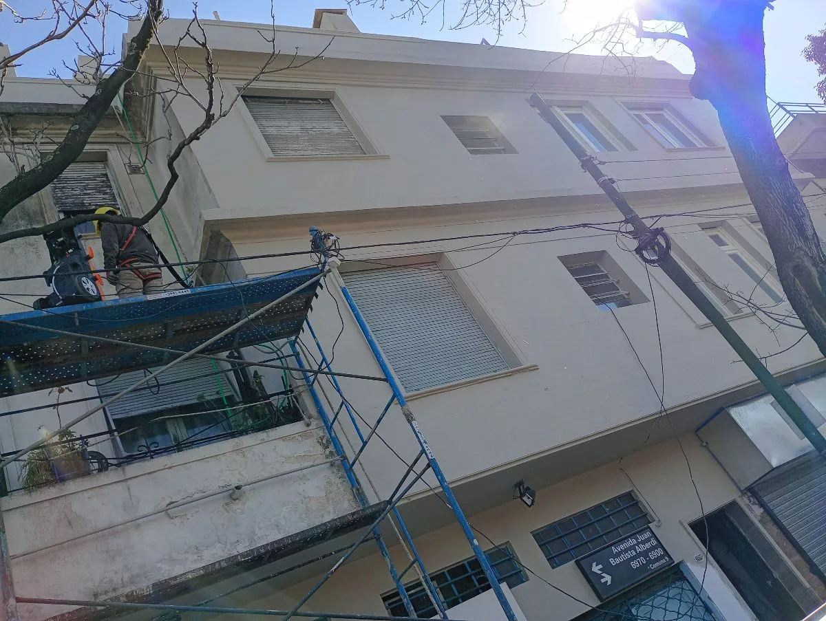 baez pintor 4