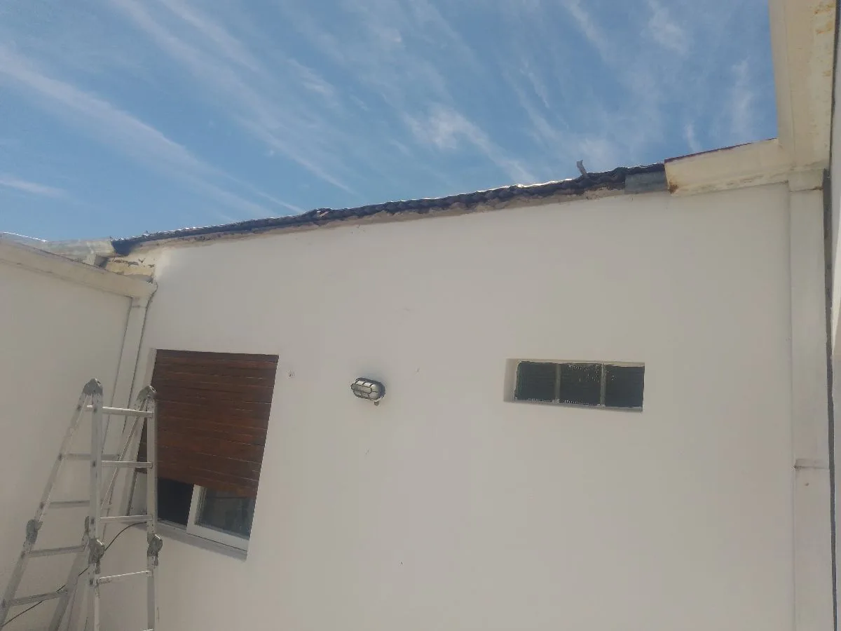 leo's construccion 4