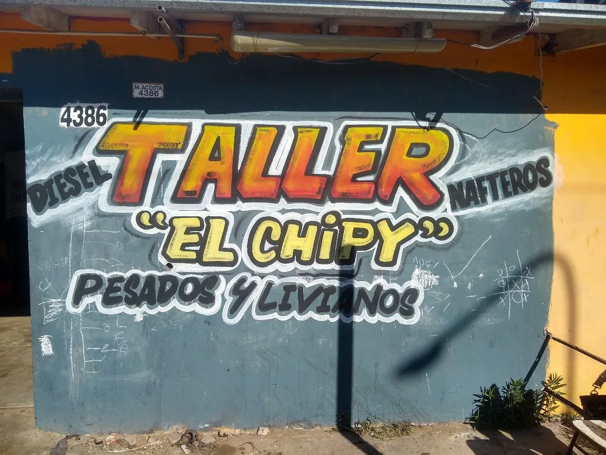 letrista, dibujante, muralista 4