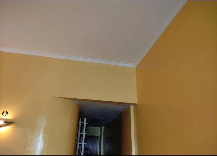 Pinturas, refaciones. Don Rodrigo 8