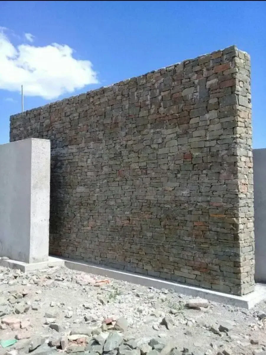 Pedro Selada 10