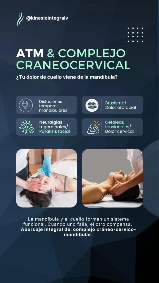 Kinesiología Integrativa 4