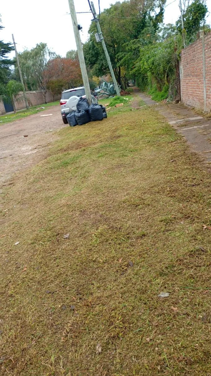 jardineria A&T 5