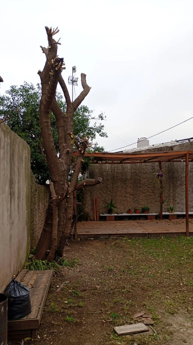 jardineria A&T 8