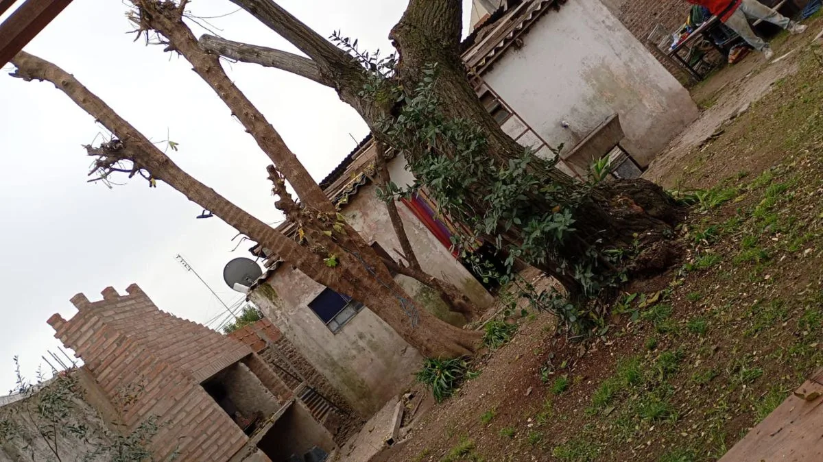 jardineria A&T 11