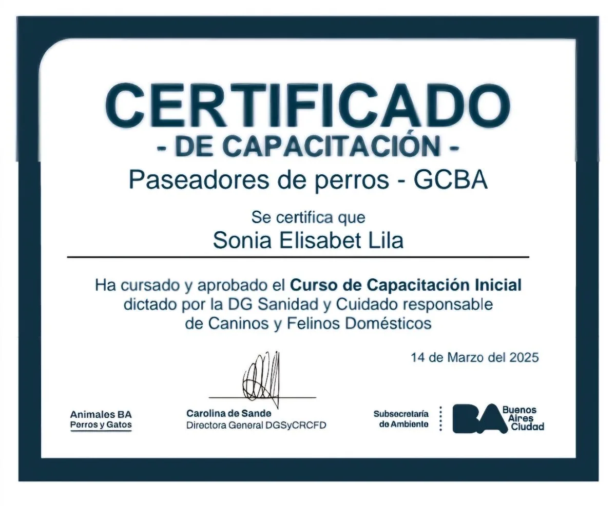 Elisabet Lila 11