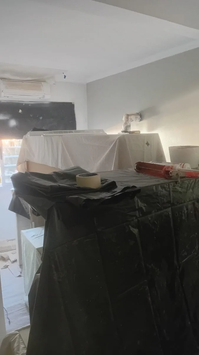 PINTURAS*EL NORTEÑO* 5