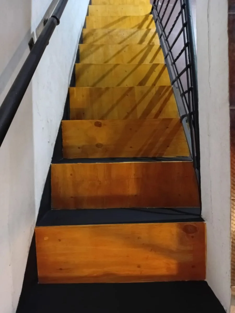 PINTURAS*EL NORTEÑO* 8