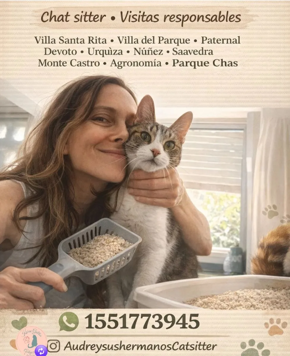 Veggie & You comida casera, real y rica a pedido 4